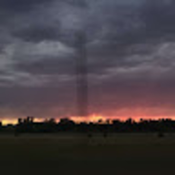 Meet your Posher, Emma - Picture 1 of 1